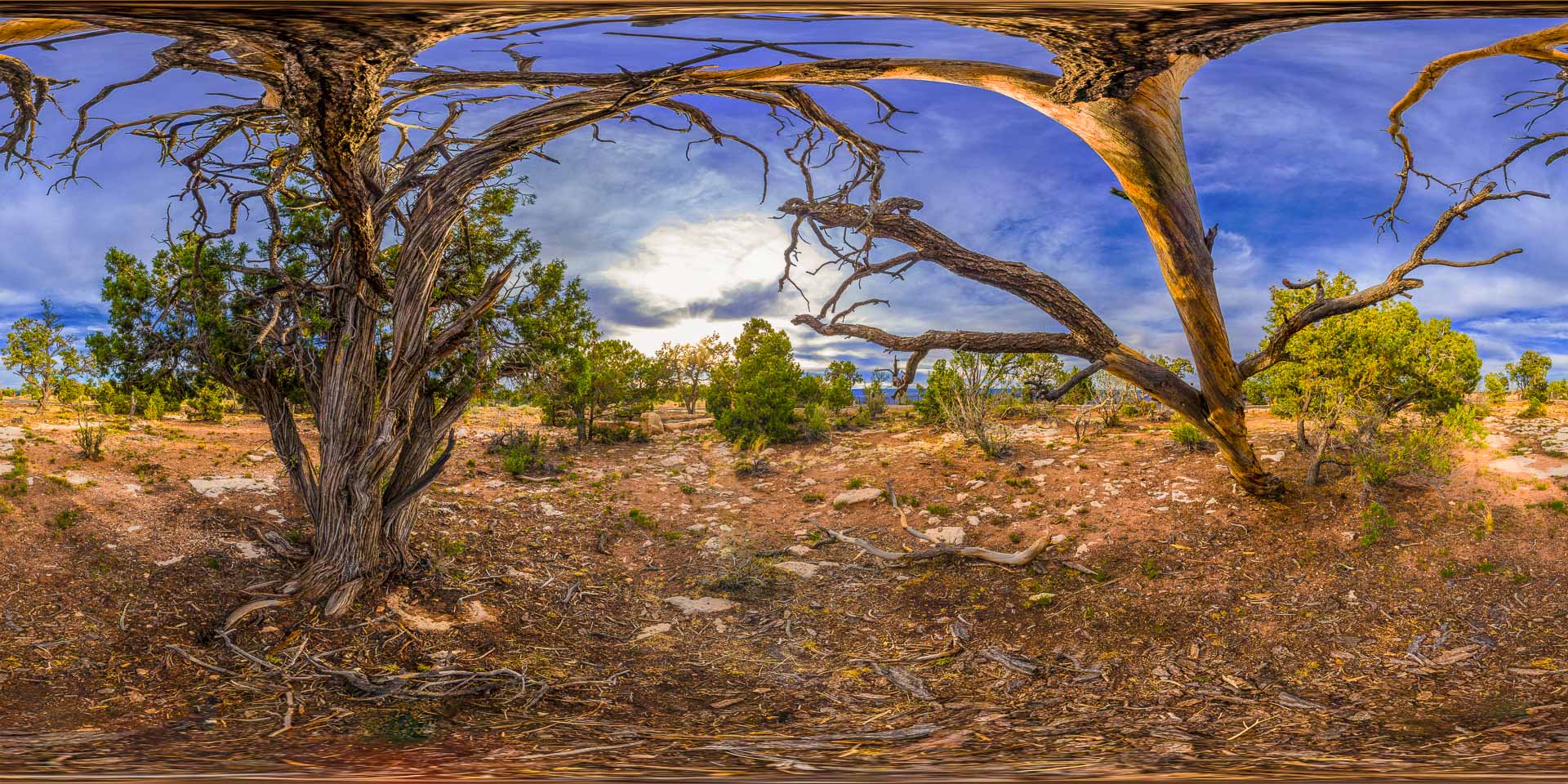 Bushman COMPASS LEVEL – Bushman Panoramic CANADA